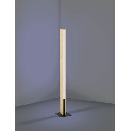 Eglo - LED RGBW Stmievateľná stojacia lampa LED/35W/230V 2700-6500K