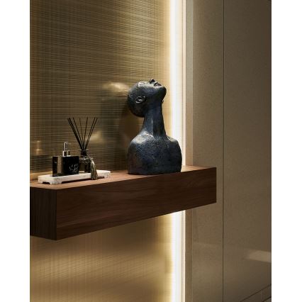 Eglo - LED Stmievateľný pásik 2m LED/13,2W/24/230V 2700-6500K + diaľkové ovládanie