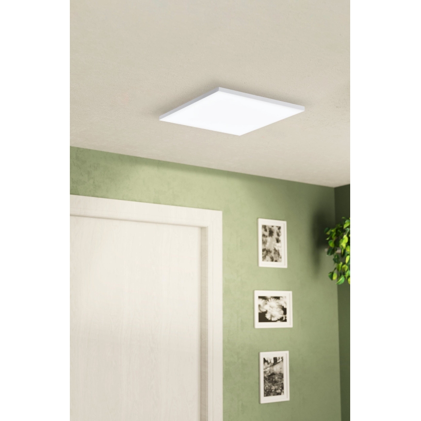 Eglo - LED Stropné svietidlo LED/10,8W/230V