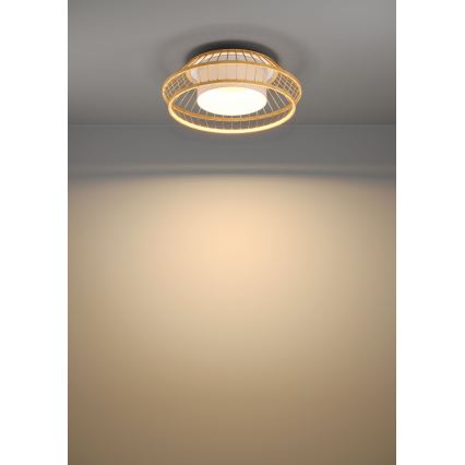 Eglo - LED RGBW Stmievateľné stropné svietidlo LED/22W/230V 2700-6500K
