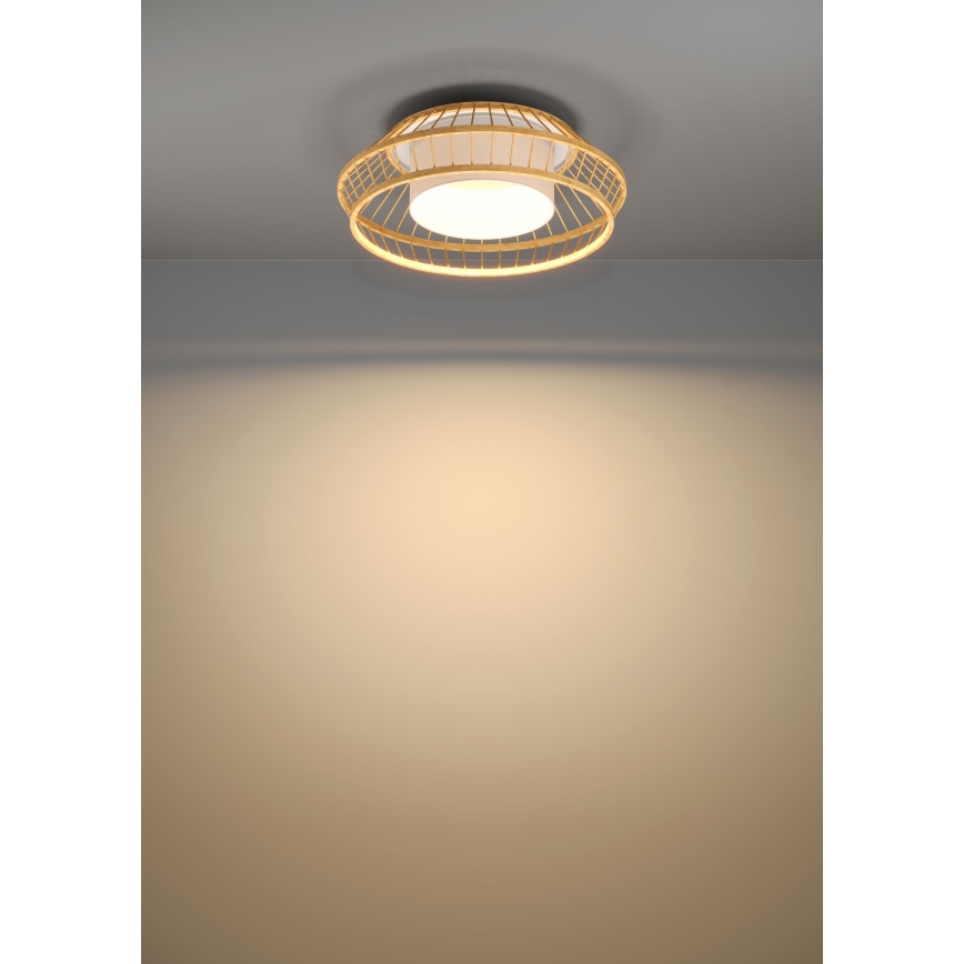 Eglo - LED RGBW Stmievateľné stropné svietidlo LED/22W/230V 2700-6500K