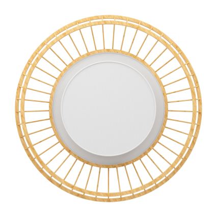 Eglo - LED RGBW Stmievateľné stropné svietidlo LED/22W/230V 2700-6500K