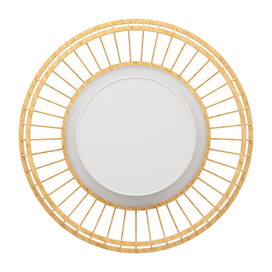 Eglo - LED RGBW Stmievateľné stropné svietidlo LED/22W/230V 2700-6500K