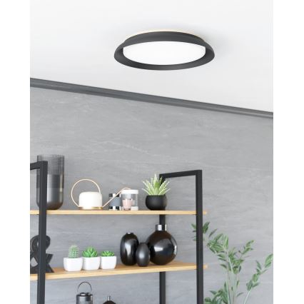 Eglo - LED Stropné svietidlo LED/20W/230V