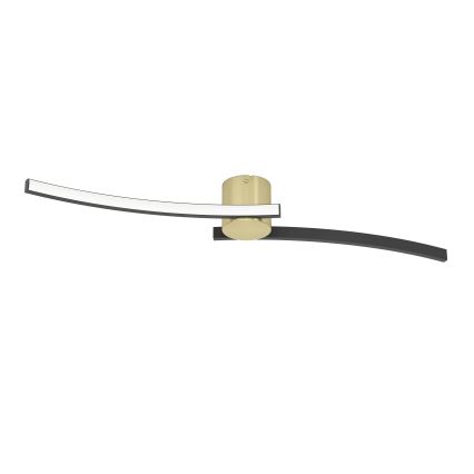Eglo - LED Stropné svietidlo LED/12W/230V 4000K čierna