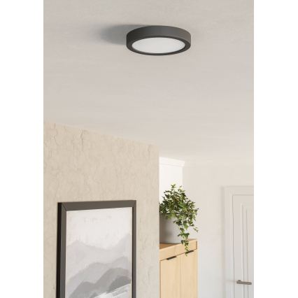 Eglo - LED Stropné svietidlo LED/7,5W/230V 2700/4000/6500K pr. 16,6 cm čierne