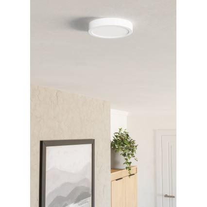 Eglo - LED stropné svietidlo LED/7,5W/230V 2700/4000/6500K pr. 16,6 cm biela