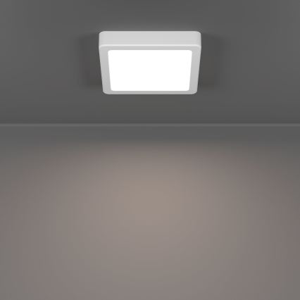 Eglo - LED stropné svietidlo LED/7W/230V 2700/4000/6500K 15x15 cm biela