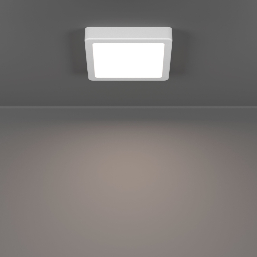 Eglo - LED stropné svietidlo LED/7W/230V 2700/4000/6500K 15x15 cm biela