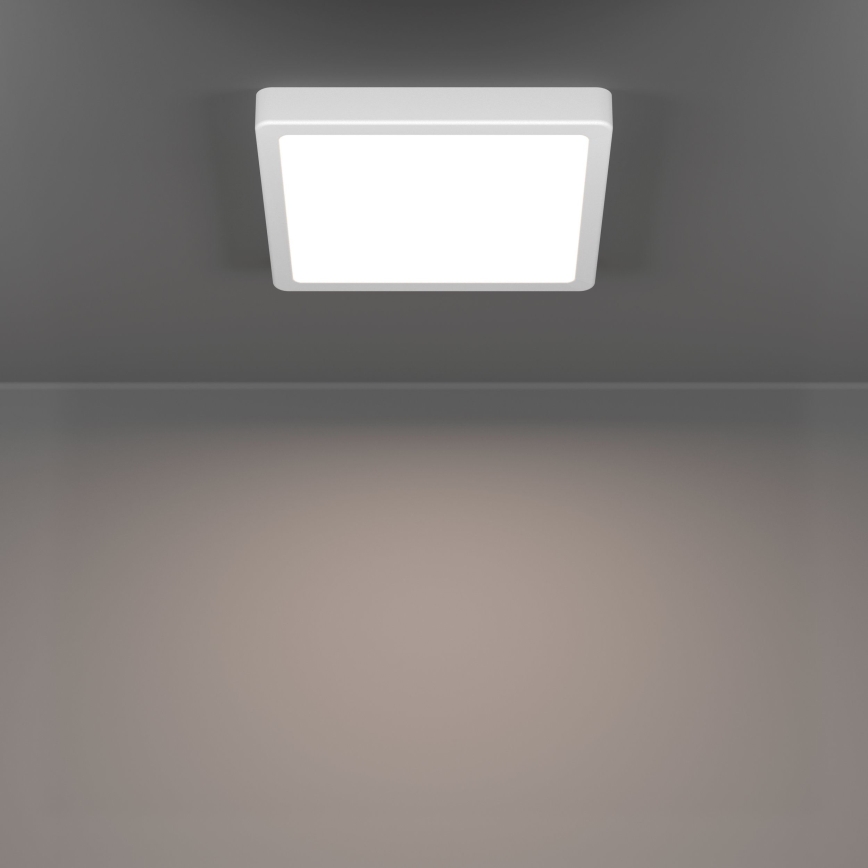 Eglo - LED Stropné svietidlo LED/10,5W/230V 2700/4000/6500K 22x22 cm biela