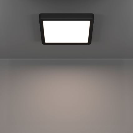 Eglo - LED Kúpeľňové stropné svietidlo LED/10,5W/230V 22x22 cm IP44 čierna