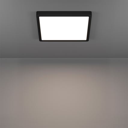 Eglo - LED RGBW stmievateľné kúpeľňové stropné svietidlo LED/13,5W/230V 2700-6500K 29,5x29,5 cm IP44 čierna