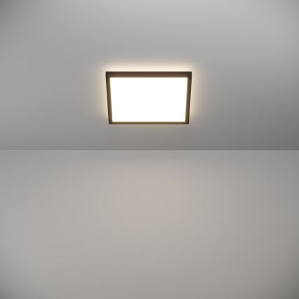 Eglo - LED Kúpeľňové stropné svietidlo LED/13,4W/230V 2700/4000/6500K 29x29 cm IP44 čierna