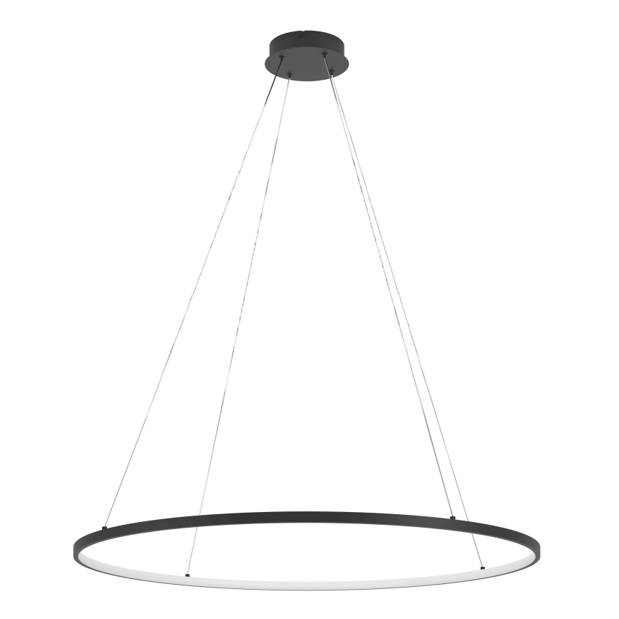 Eglo - LED Stmievateľný luster na lanku LED/40W/230V 2700-6500K čierna + diaľkové ovládanie