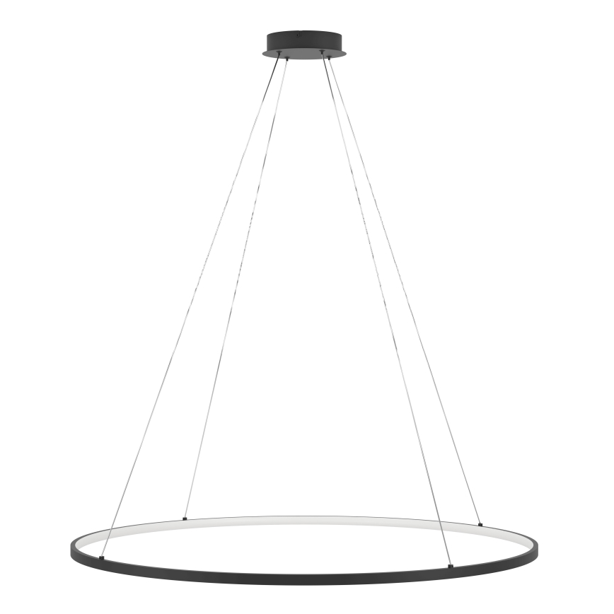 Eglo - LED Stmievateľný luster na lanku LED/40W/230V 2700-6500K čierna + diaľkové ovládanie