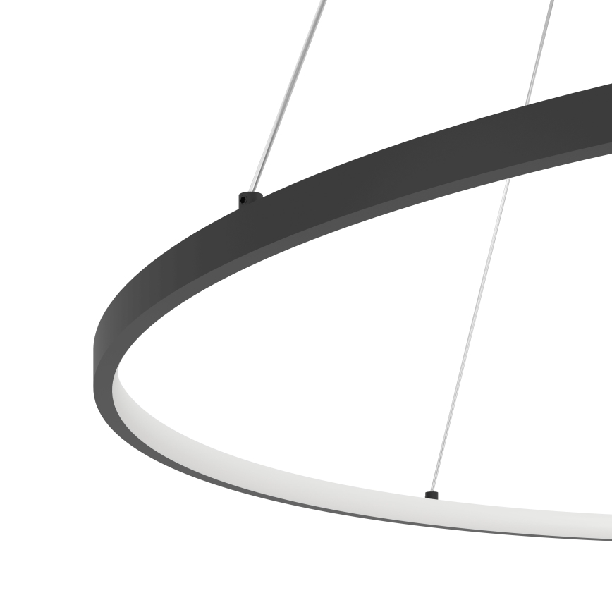 Eglo - LED Stmievateľný luster na lanku LED/40W/230V 2700-6500K čierna + diaľkové ovládanie