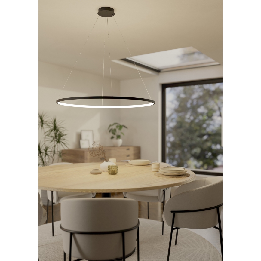 Eglo - LED Stmievateľný luster na lanku LED/40W/230V 2700-6500K čierna + diaľkové ovládanie