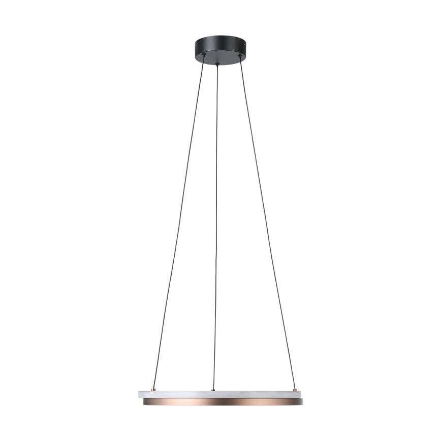 Eglo - LED stmievateľný luster na lanku, 2×LED/20 W/230 V, 2700–6500 K, priemer 48 cm, bronzový + diaľkové ovládanie