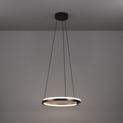 Eglo - LED stmievateľný luster na lanku, 2×LED/20 W/230 V, 2700–6500 K, priemer 48 cm, bronzový + diaľkové ovládanie
