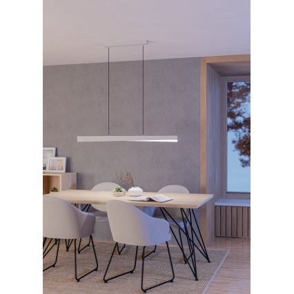 Eglo - LED RGBW Stmievateľný luster na lanku LED/19W/230V 2700-6500K sivá