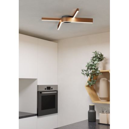 Eglo - LED RGBW stmievateľné stropné svietidlo 2xLED/18W/230V 2700-6500K medená/čierna