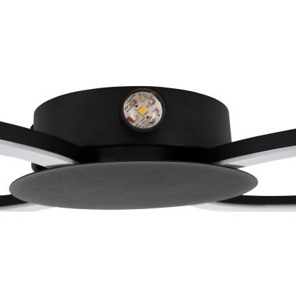 Eglo - LED nástenné svietidlo LED/20W/230V + LED/0,91W čierne