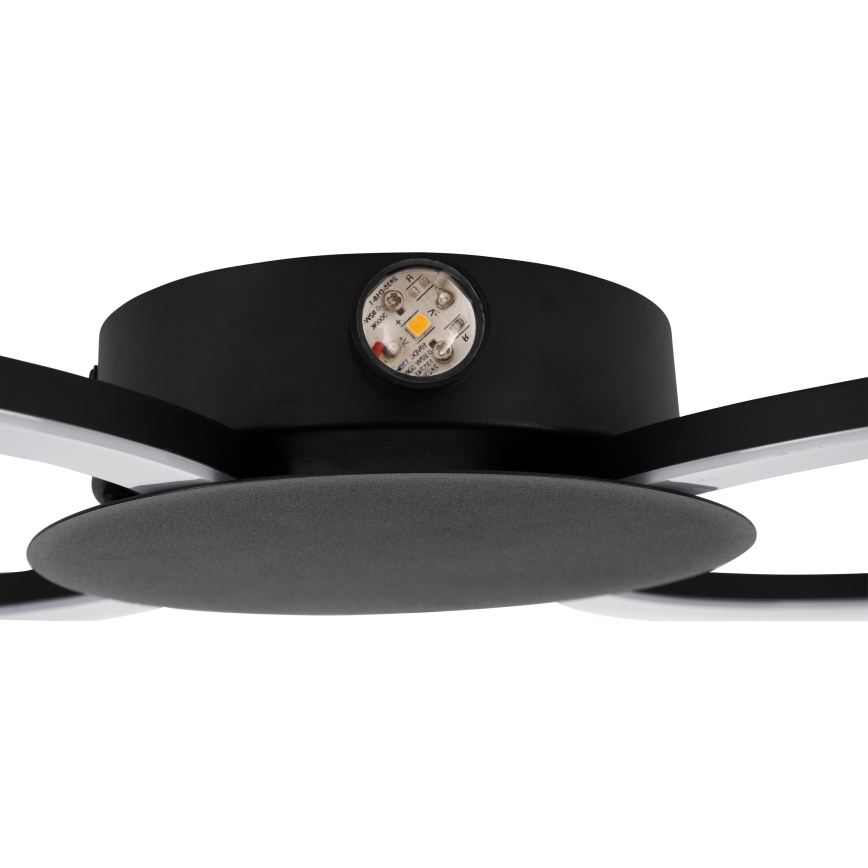 Eglo - LED nástenné svietidlo LED/20W/230V + LED/0,91W čierne