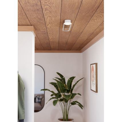 Eglo - LED stropné svietidlo LED/24W/230V 2700/4000/6500K biela