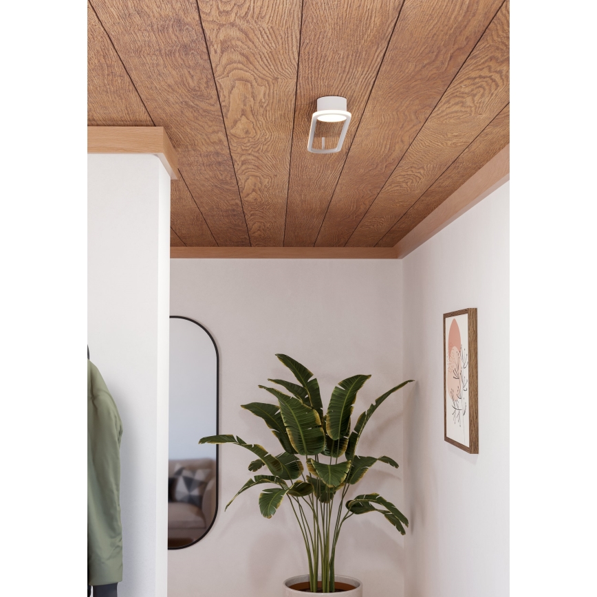 Eglo - LED stropné svietidlo LED/24W/230V 2700/4000/6500K biela