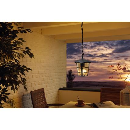 Eglo 93406 - Vonkajší LED luster ALORIA 1xE27/8,5W/230V IP44