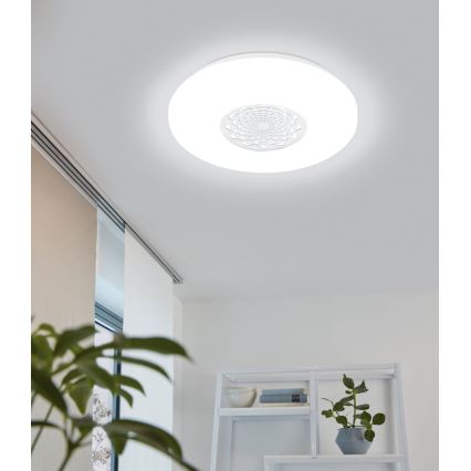 Eglo - LED Stropné svietidlo LED/24W/230V