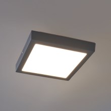 Eglo 96495 - LED Vonkajšie stropné svietidlo ARGOLIS LED/22W