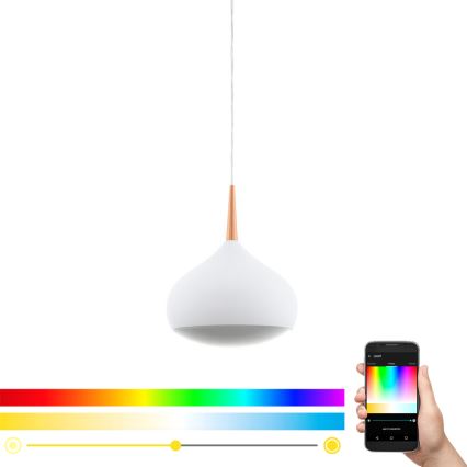 Eglo 97087 - LED RGBW stmievateľné závesné svietidlo COMBA-C LED/18W/230V