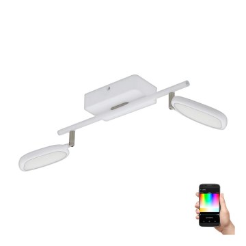 Eglo 97692 - LED RGB Bodové svietidlo PALOMBARE-C 2xLED/5W/230V