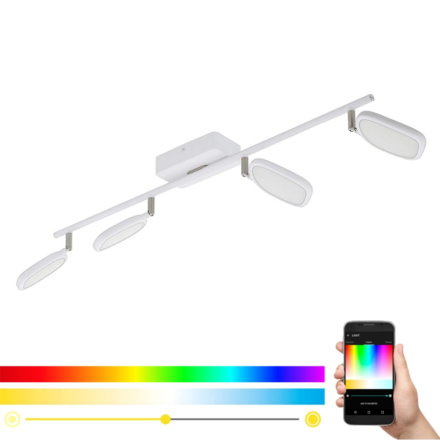 Eglo 97694 - LED RGB Bodové svietidlo PALOMBARE-C 4xLED/5W/230V