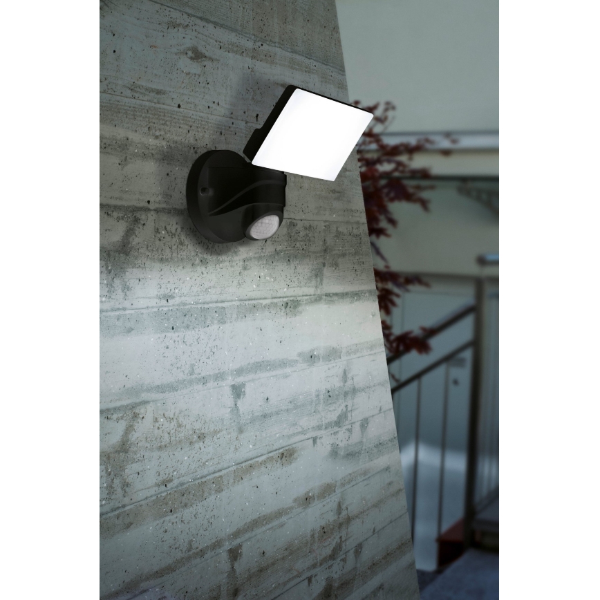 Eglo - LED Vonkajšie svietidlo so senzorom LED/15W/230V IP44