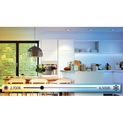 Eglo - LED Stmievateľné stropné svietidlo LED/24W/230V pr. 45 cm + diaľkové ovládanie