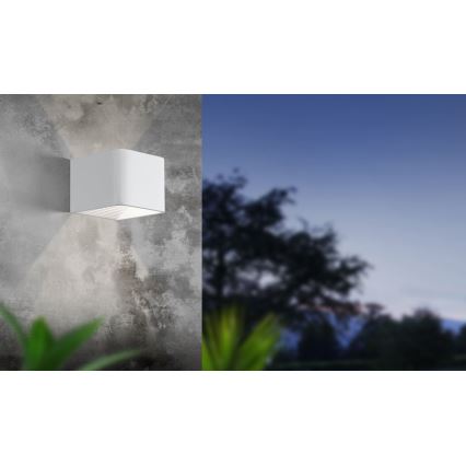 Eglo - LED Vonkajšie nástenné svietidlo LED/6W/230V IP55