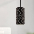 Eglo 98352 - Závesné svietidlo RAMON na lanku 1xE27/40W/230V