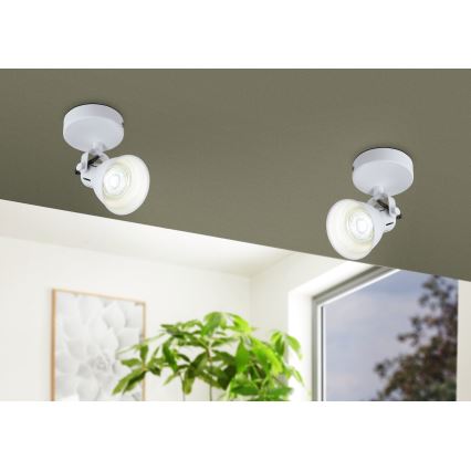 Eglo - LED Nástenné bodové svietidlo 1xGU10/3,3W/230V