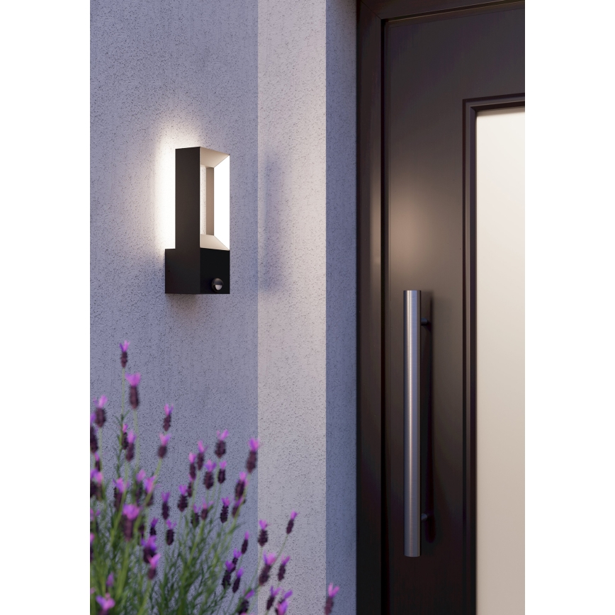 Eglo - LED Vonkajšie svietidlo so senzorom 2xLED/5W/230V IP44