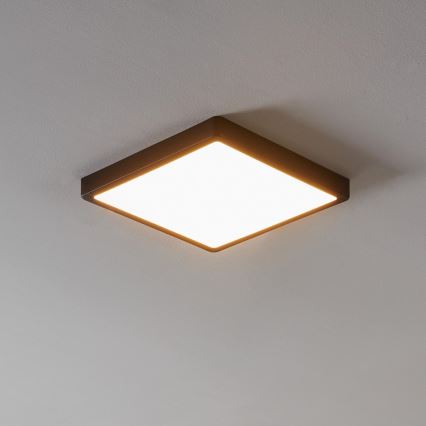 Eglo - LED Stmievateľné kúpeľňové svietidlo LED/19,5W/230V IP44 ZigBee