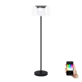 Eglo 99037 - LED RGB stmievateľná stojacia lampa BRIAGLIA-C LED/24,8W/230V