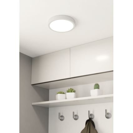 Eglo - LED Stmievateľné stropné svietidlo LED/16,5W/230V