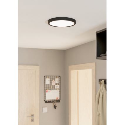 Eglo - LED Stmievateľné stropné svietidlo LED/20W/230V pr. 28,5 cm