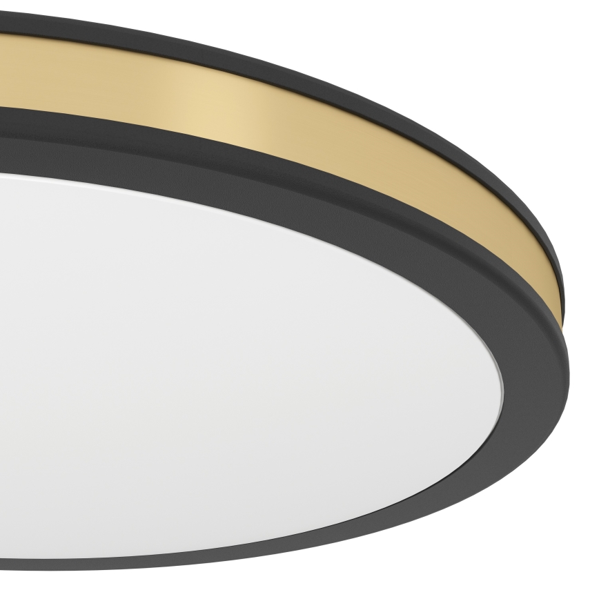 Eglo - LED Stropné svietidlo LED/11W/230V