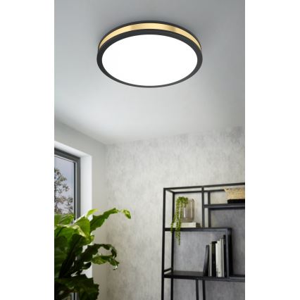 Eglo - LED Stropné svietidlo LED/24W/230V