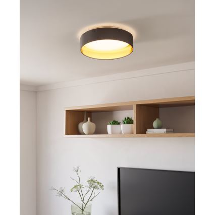 Eglo - LED Stropné svietidlo LED/24W/230V