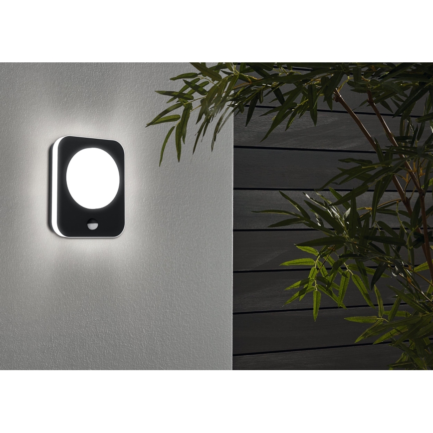 Eglo - LED Vonkajšie nástenné svietidlo so senzorom LED/9W/230V IP44