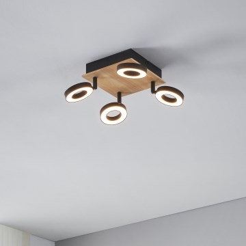 Eglo - LED bodové svietidlo 4xLED/4,2W/230V čierna/hnedá